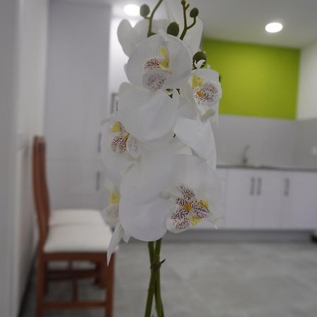 Apartamento Sanin 3 Lumbrales Exterior foto